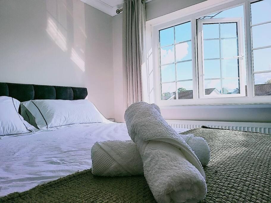 时尚的3室独立别墅，近海滩，Mumbles Swansea Exterior photo