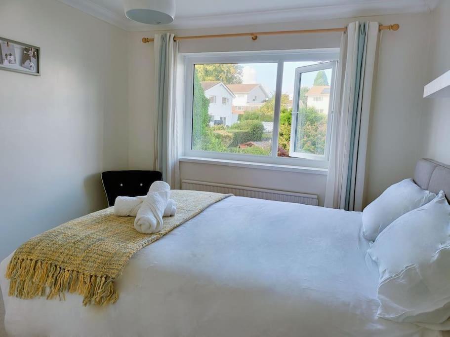 时尚的3室独立别墅，近海滩，Mumbles Swansea Exterior photo
